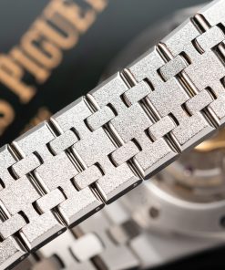 Audemars Piguet Replica Watch (1)