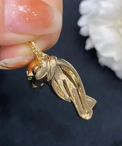 Cartier Panthere Garnet Womens Necklace Gold 18K Custom (2)