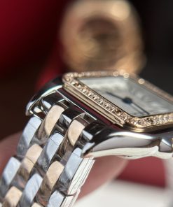 Cartier Panthere Womens Demi Rose Gold Replica Watches 23x30mm (1)