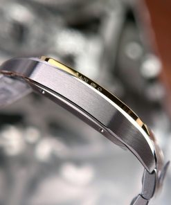 Cartier Santos CRW2SA0030 Gray Dial Demi Gold Best Replica BV Factory (1)