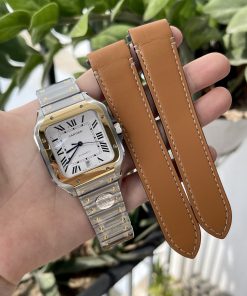 Cartier Santos W2SA0009 BV Factory Best Replica Watch 39 (1)