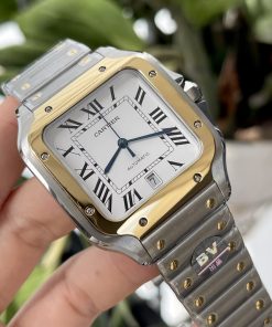 Cartier Santos W2SA0009 BV Factory Best Replica Watch 39 (1)