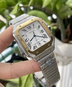 Cartier Santos W2SA0009 BV Factory Best Replica Watch 39 (1)
