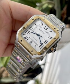 Cartier Santos W2SA0009 BV Factory Best Replica Watch 39 (1)