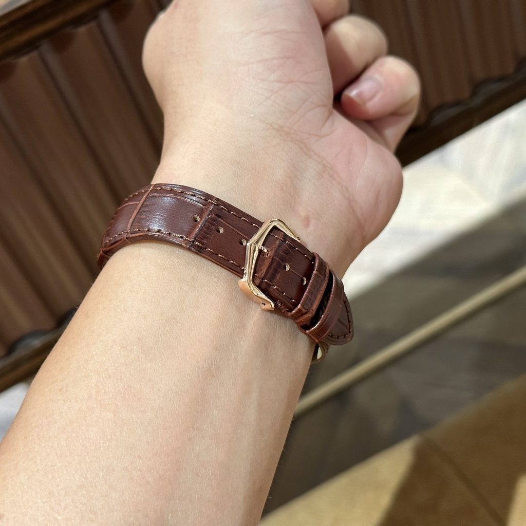 Cartier Santos de Carter Replica Watches Brown Leather Swiss Quartz (4)