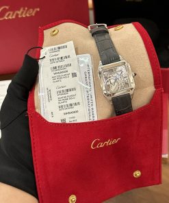 Cartier Santos de Cartier WHSA0009 Replica Watches Gray (1)