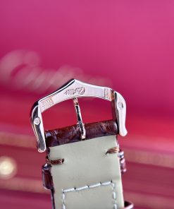 Cartier Tank Solo Best Replica Watch Brown Leather Strap Quartz Movement (9)