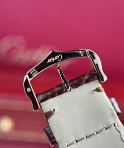 Cartier Tank Solo Extra-Large Model Best Replica Brown Leather Watch (1)
