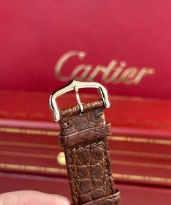 Cartier Tank Solo Extra-Large Model Best Replica Brown Leather Watch (1)