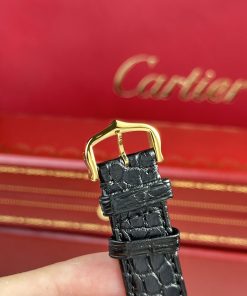 Cartier Tank Solo Yellow Gold Best Replica Watch Quartz Movement (1)