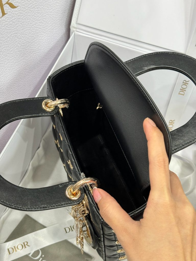 Dior Lady Beaded With Sun Motifs Womens Replica Bags 20cm (2)