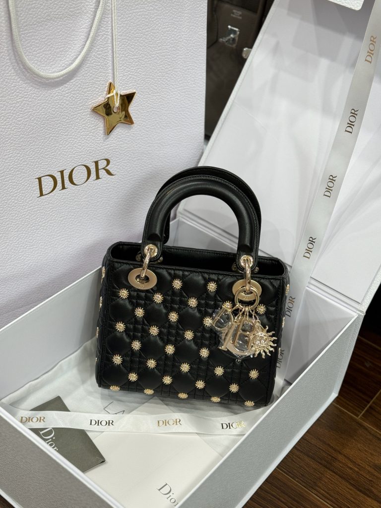 Dior Lady Beaded With Sun Motifs Womens Replica Bags 20cm (2)