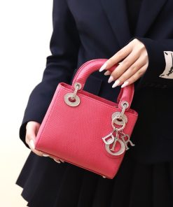 Dior Lady Lizard Best Replica Bags Women Pink 17cm (2)
