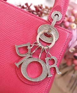 Dior Lady Lizard Best Replica Bags Women Pink 17cm (2)