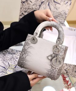 Dior Lady Lizard Womens Best Replica Bags 17cm (2)