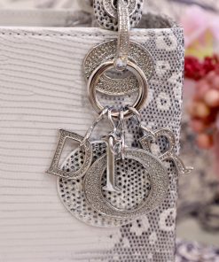 Dior Lady Lizard Womens Best Replica Bags 17cm (2)
