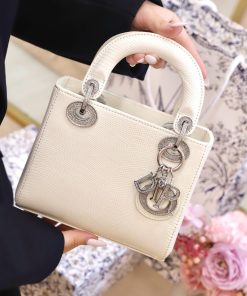 Dior Lady Lizard Womens Best Replica Bags White 17cm (2)