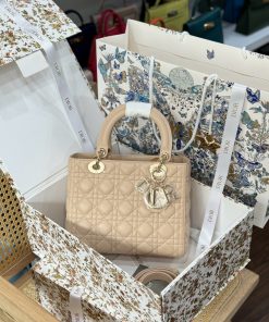 Dior Lady Womens Best Replica Bags Beige Colored 24cm (2)