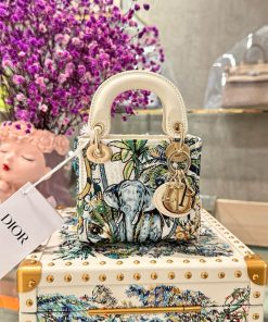 Dior Lady Womens Best Replica Bags Elephant Texture 12×10 (2)