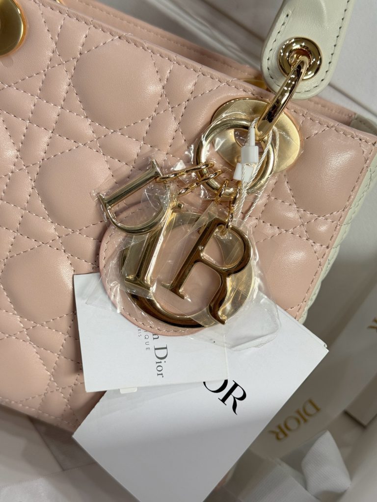 Dior Lady Womens Light Pink Best Replica Bags 20cm (2)