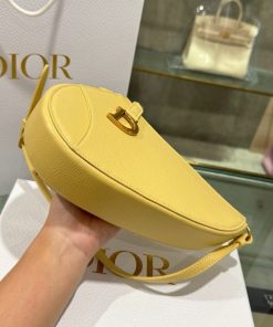 Dior Saddle Replica Bags Womens Cowhide Yellow 20x15x4cm (2)