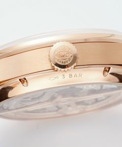 IWC Portugieser IW503302 Best Replica Watches APS Factory 42mm (8)