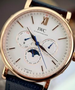IWC Schaffhausen Perpetual Calendar Replica Watches (4)
