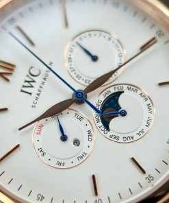 IWC Schaffhausen Perpetual Calendar Replica Watches (4)