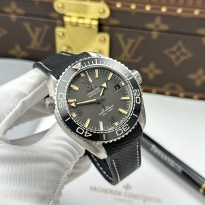 Omega Seamaster Planet Ocean 600M Best Replica Watch VSF Gray Dial 43 (1)