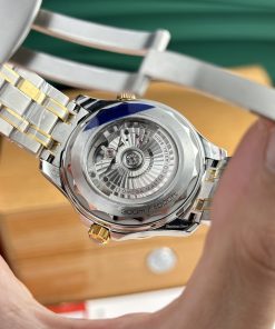 Omega Seamaster Diver 300M Replica Watches VS Factory Demi Gold (5)