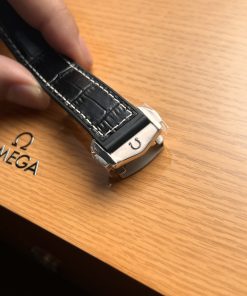 Omega Seamaster Planet Ocean 600M Replica Watches Men's 39 (2)