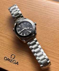 Omega Seamaster Planet Ocean 600M Replica Watches VS Factory 39 (1)