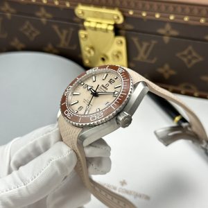 Omega Seamaster Planet Ocean 600M Best Replica Watch Rubber Strap VSF 43 (1)