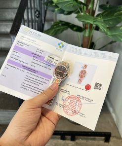 Rolex DateJust Gold Wrapped Chocolate Dial Best Replica GM Factory 31mm (6)