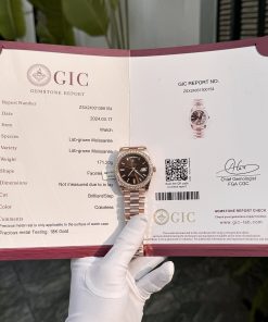 Rolex Day-Date Gold Wrapped Custom Moissanite Diamonds 176 Grams 40mm (6)