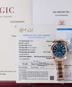 Rolex Sky-Dweller Gold Wrapped Blue Dial Best Replica 42mm (6)