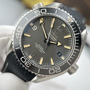 Omega Seamaster Planet Ocean 600M Best Replica Watch VSF Gray Dial 43 (1)