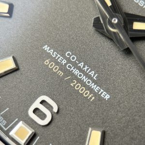 Omega Seamaster Planet Ocean 600M Best Replica Watch VSF Gray Dial 43 (1)